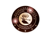 Chief Deputy County Counselor - Litigation