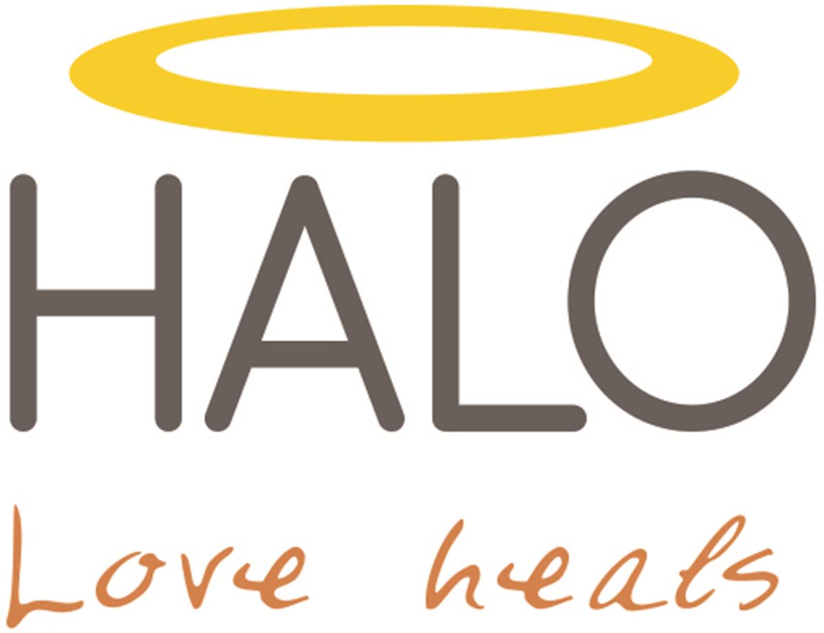 The HALO Foundation HALO Kansas City Youth Advocate Job Description