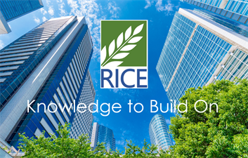 Rice LLC - Planning, Design & Environmental
