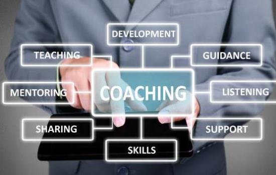 Training and Business Coaching
