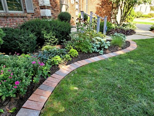 Paver Edging, Plants, Mulch