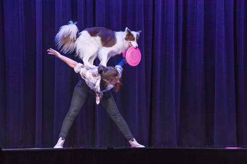 Live Entertainment at the French Mountain Playhouse