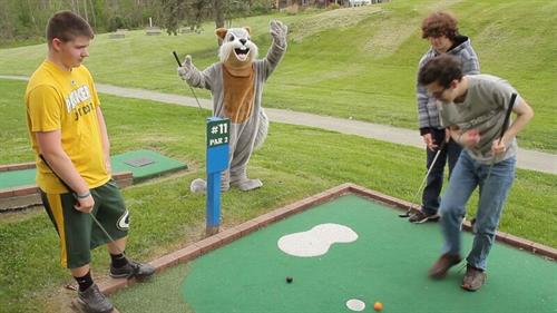 mini golf mini golf