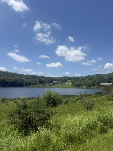 Gallery Image IMG_9518.jpeg