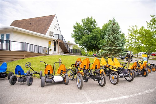 Bike Rentals