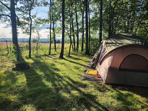 Tent site 1