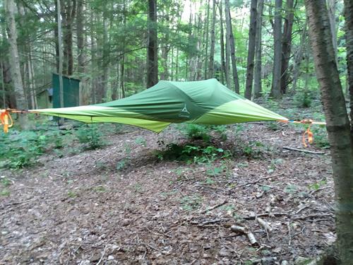 Tree tent campsite