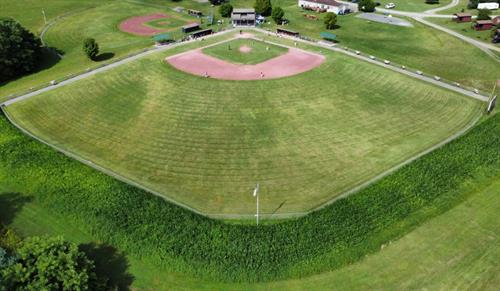 Major League & Minor League Fields