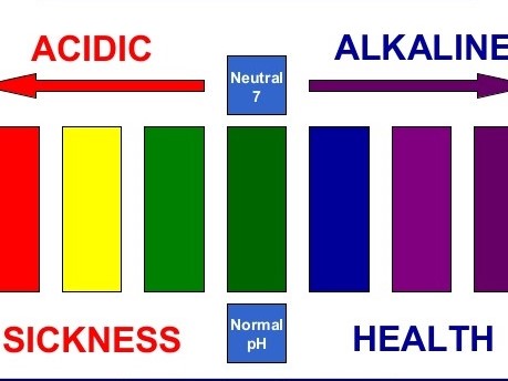Alkalinity equals good health; Acidity equals sickness