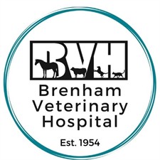 Brenham Veterinary Hospital