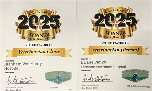 Gallery Image 2025_READERS_CHOISE.jpg