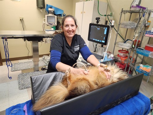 Gallery Image Amy_Oncura.jpg