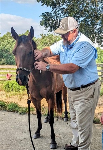 Gallery Image Hills.jpg