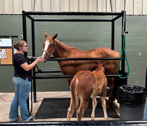 Gallery Image IMG_0154.jpeg