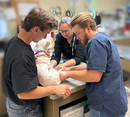 Gallery Image IMG_0230_-_Edited.jpg.JPG