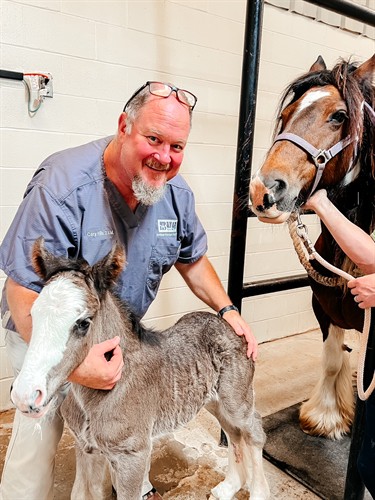 Gallery Image IMG_1065.JPG