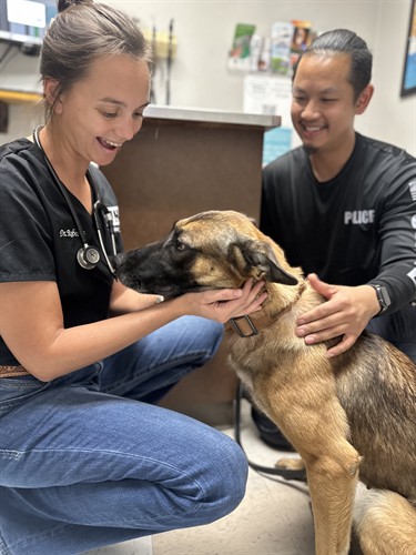 Gallery Image IMG_2303.jpg