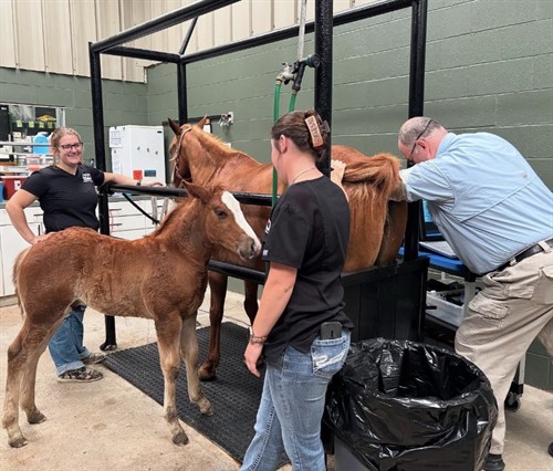 Gallery Image IMG_3213.jpg