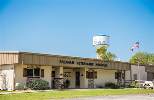 Gallery Image Screenshot_2026-03-09_at_4.01.11%E2%80%AFPM.png