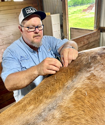 Gallery Image ch_accu_4.jpg