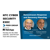 NTC Cyber Security Exec Peer Group - 2023 Q4