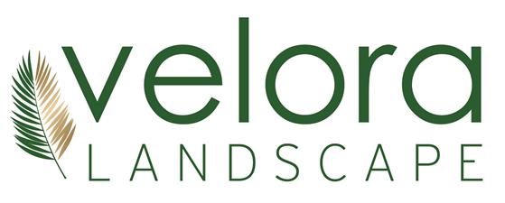 Velora Landscape