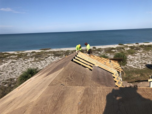 Gallery Image capon2.jpg