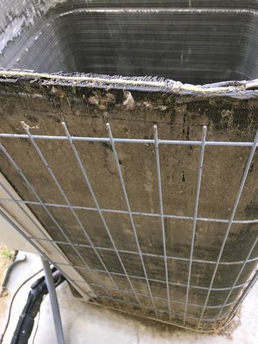 Outdoor condensers need cleaning to function properly too!