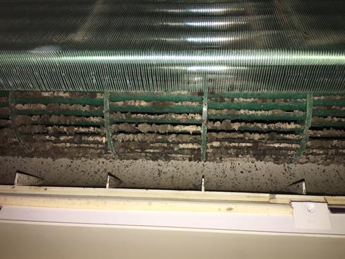 The usual mold, mildew, and contaminates that cause blockages, allergy issues, and leaks!