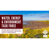 Water, Energy, & Environment Task Force