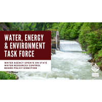 Water, Energy, & Environment Task Force