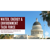Water, Energy, & Environment Task Force