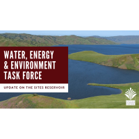 Water, Energy, & Environment Task Force
