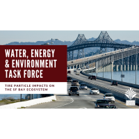 Water, Energy, & Environment Task Force