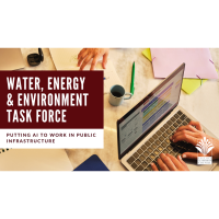 Water, Energy, & Environment Task Force