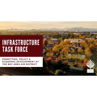 Infrastructure Task Force