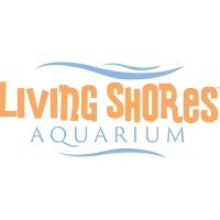 Living Shores Aquarium Debuts New Hampshire’s Only Alligator Exhibit