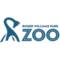 Roger Williams Park Zoo Celebrates Historic Birth of Twin Red Panda Kits