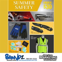 BRANDZ MARKETING INC - Stony Plain