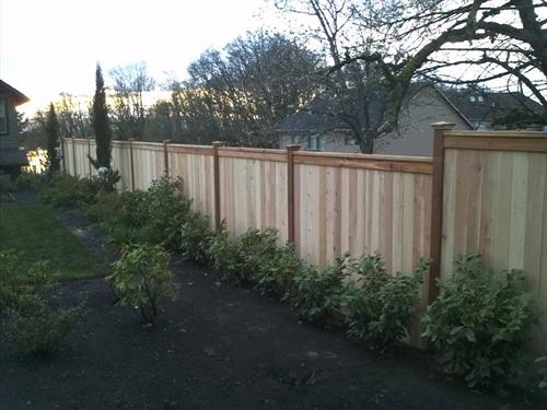 Gallery Image PICTURE_FRAME_FENCE_1.jpg Gallery Image PICTURE_FRAME_FENCE_1.jpg