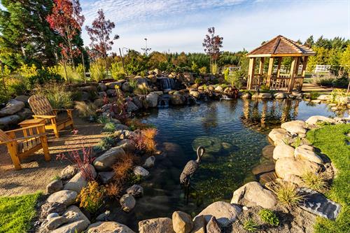 Full water feature, pond, arbor and landscape by Greenhaven Landscapes