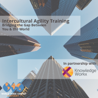 Intercultural Agility Training - Bridging the gap between you and the world