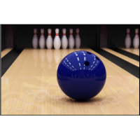 2017 Duck-pin Bowling and Happy Hour with Local 75