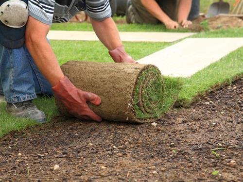 Gallery Image laying-sod-for-new-lawn-7521950.jpg