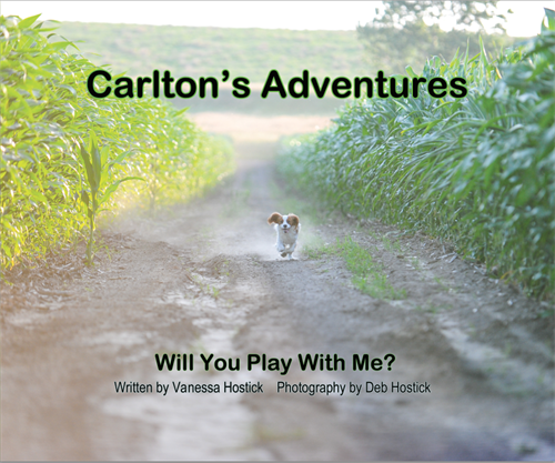 Carlton's Adventures Book Front Cover Carlton's Adventures Book Front Cover