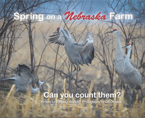 Spring on a Nebraska Farm Book Front Cover Spring on a Nebraska Farm Book Front Cover