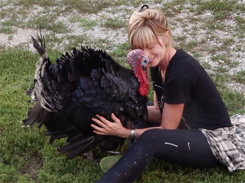 Until one has loved an animal, a part of one's soul remains unawakened. Until one has loved an animal, a part of one's soul remains unawakened.