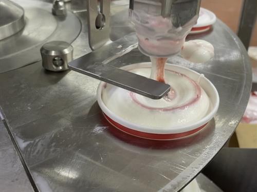 Producing UNL Dairy Store Ice Cream