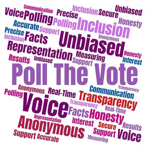 Poll The Vote identifies as a Nonpartisan Civic + Community Engagement platform.