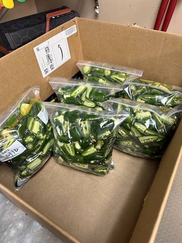 Gallery Image IMG_5403.jpeg